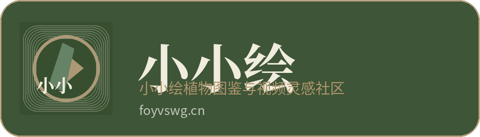 小小绘